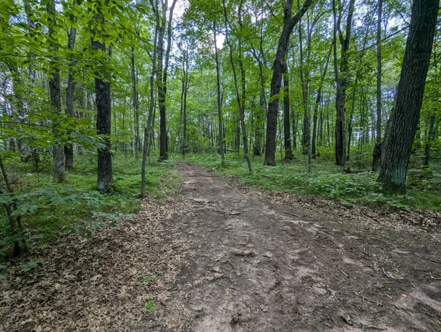 $27,700 | Lot 2 Fosmo, Webster, WI 54893