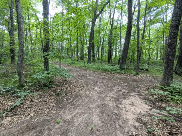 $27,700 | Lot 2 Fosmo, Webster, WI 54893
