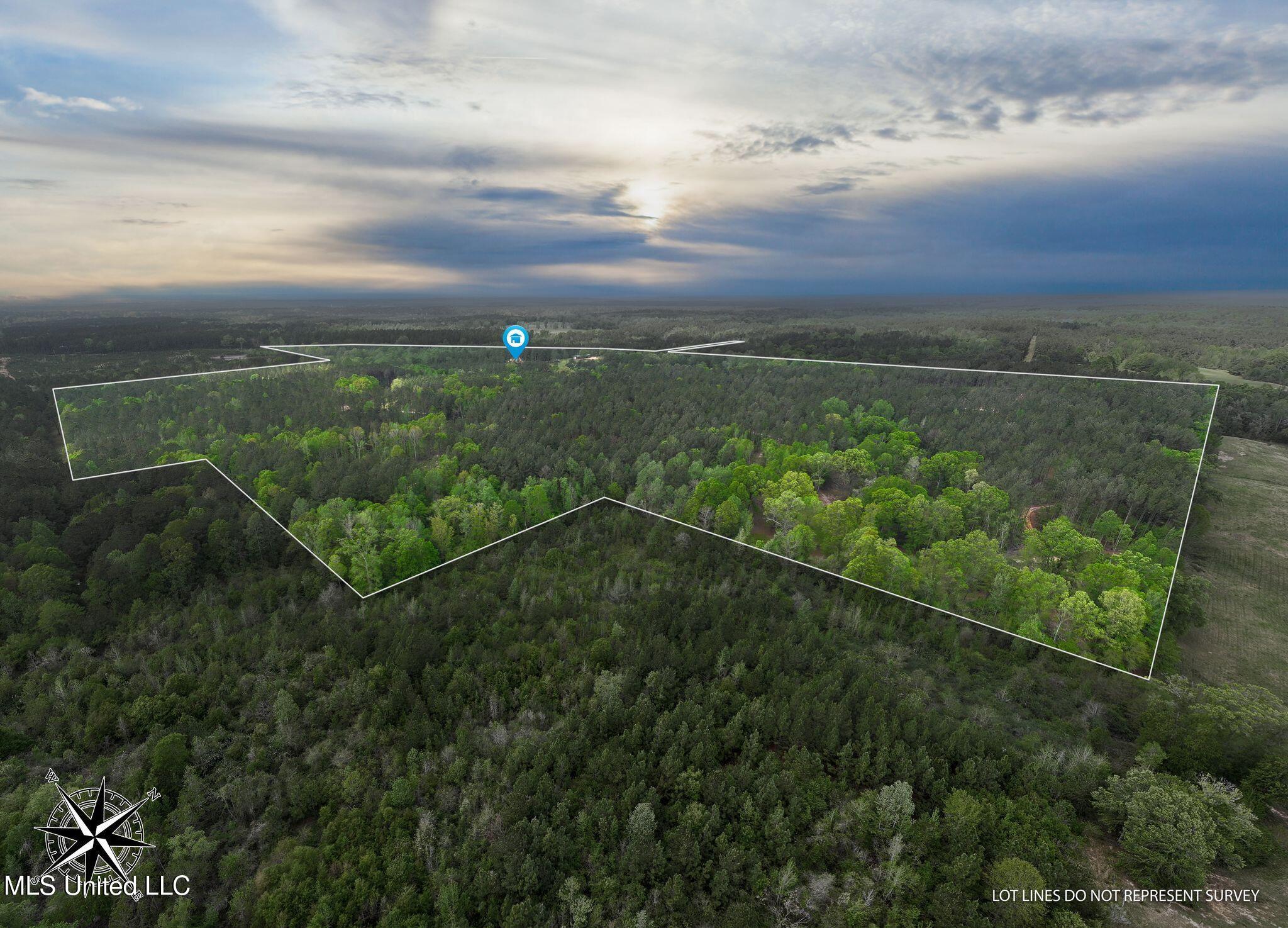176 Burge And Reyer Road Poplarville, MS 39470 - Photo 2 of 63 176_Burge_And_Reyer_Rd_Lot_Lines-1