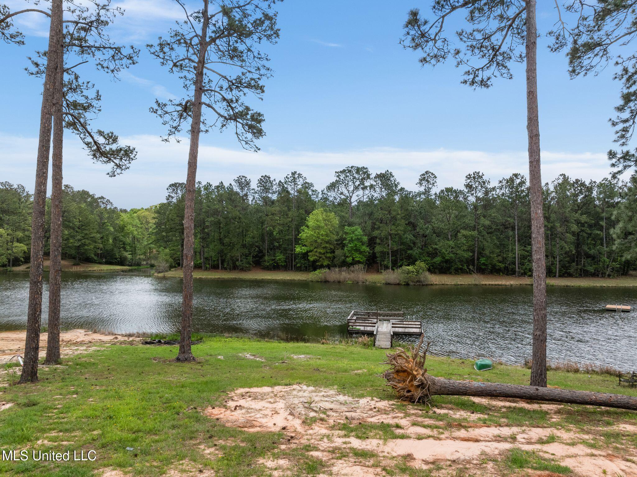 176 Burge And Reyer Road Poplarville, MS 39470 - Photo 36 of 63 176_Burge_and_Reyer_Rd-34