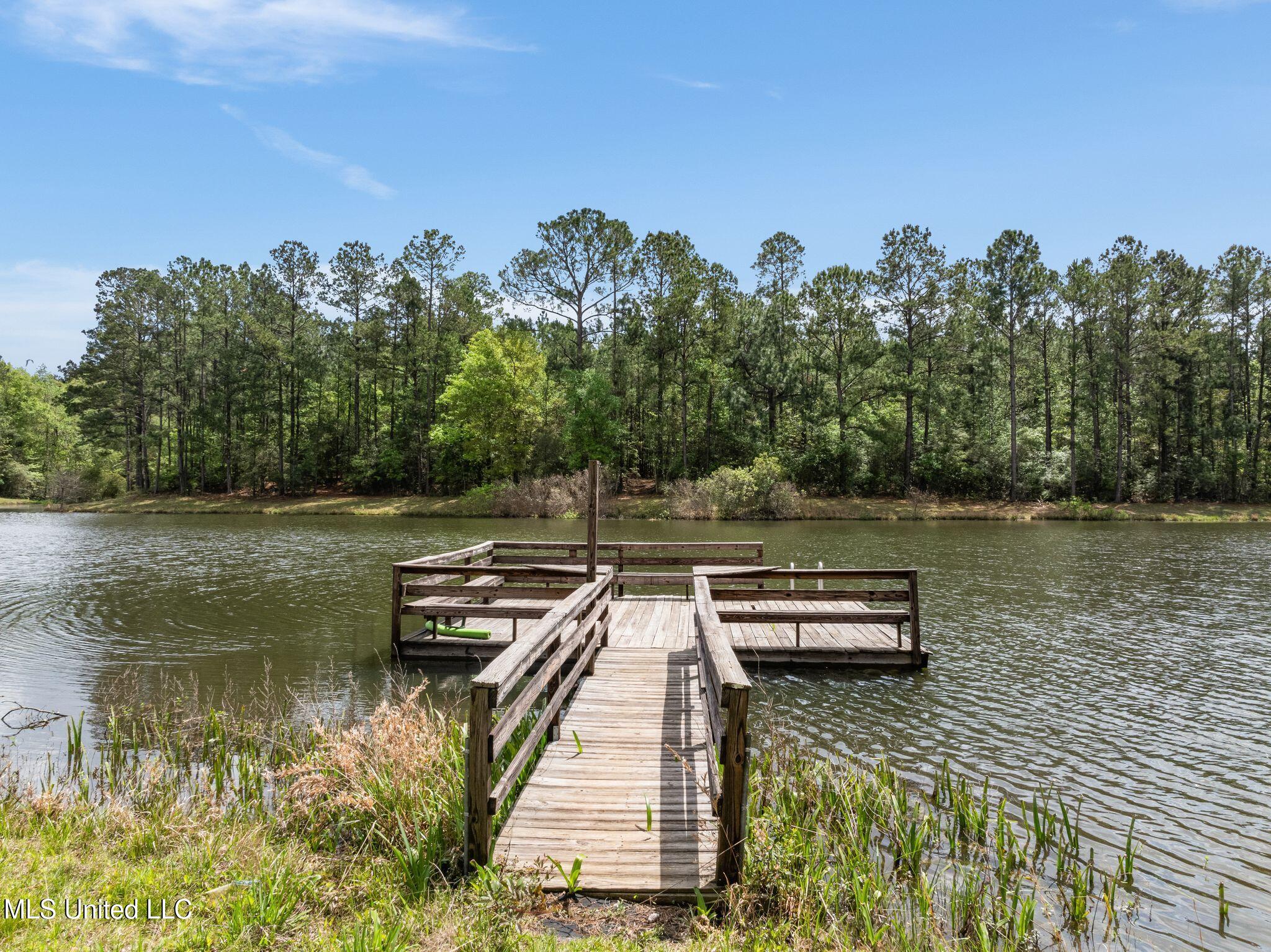 176 Burge And Reyer Road Poplarville, MS 39470 - Photo 37 of 63 176_Burge_and_Reyer_Rd-35