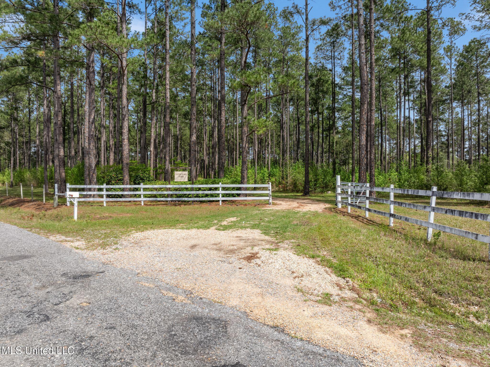 176 Burge And Reyer Road Poplarville, MS 39470 - Photo 4 of 63 176_Burge_and_Reyer_Rd-2