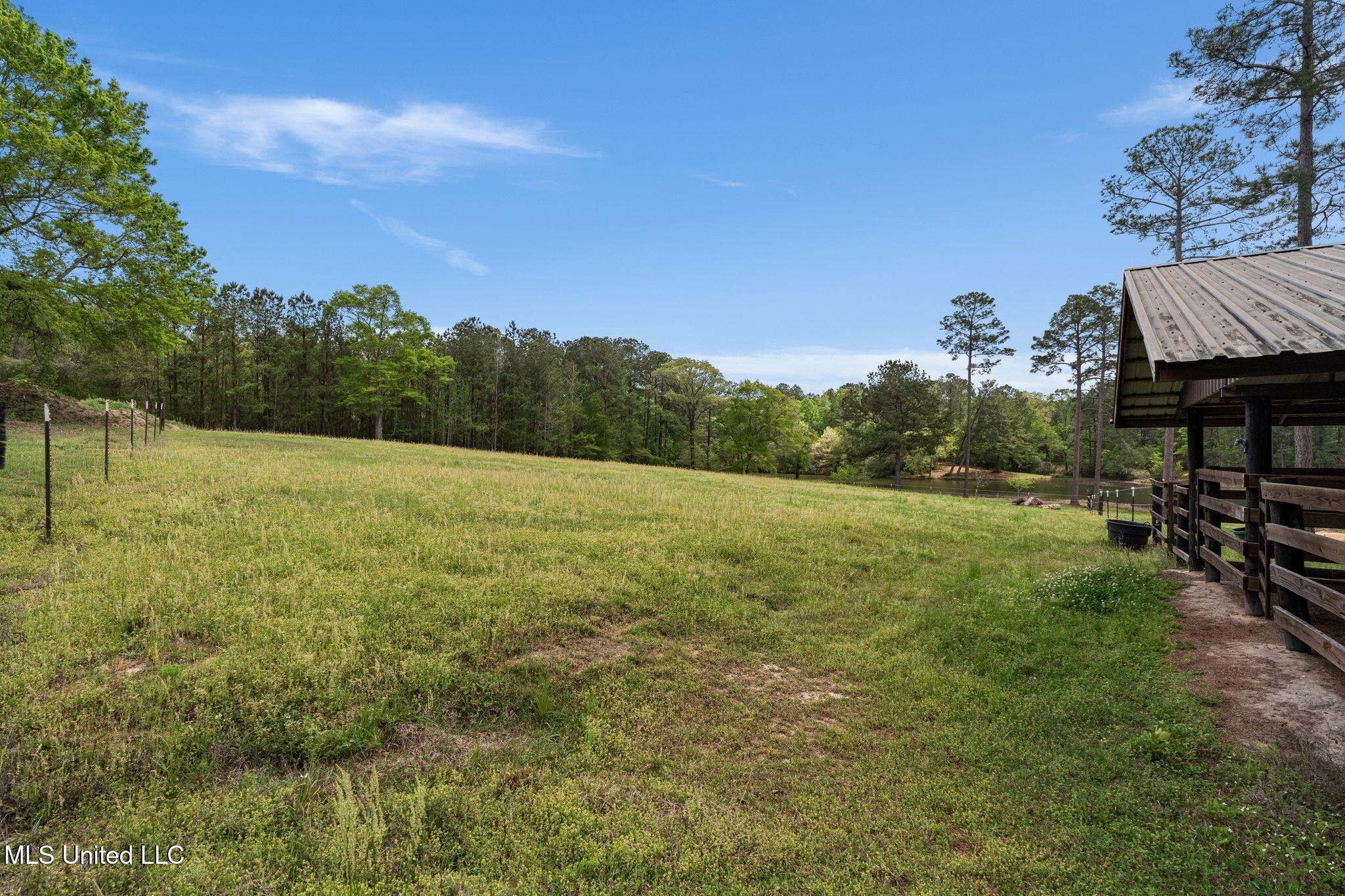 176 Burge And Reyer Road Poplarville, MS 39470 - Photo 48 of 63 176_Burge_and_Reyer_Rd-46