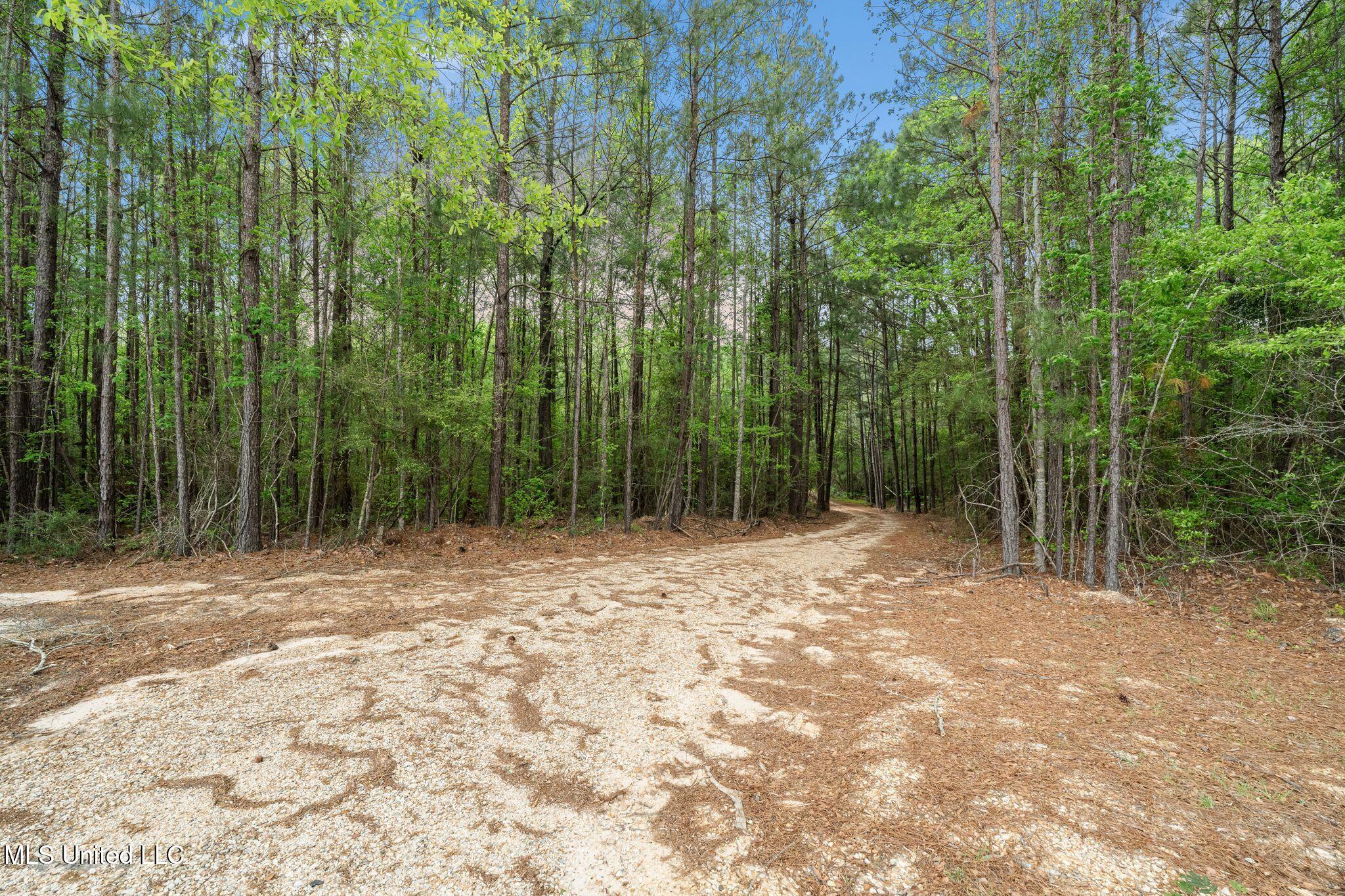 176 Burge And Reyer Road Poplarville, MS 39470 - Photo 53 of 63 176_Burge_and_Reyer_Rd-51