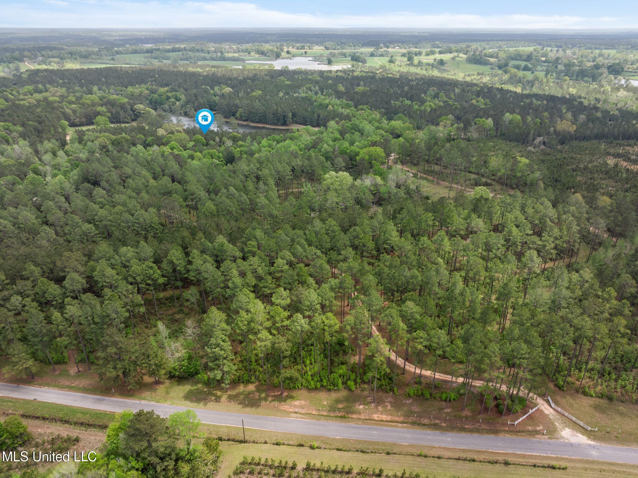 176 Burge And Reyer Road Poplarville, MS 39470 - Photo 60 of 63 176_Burge_and_Reyer_Rd-58