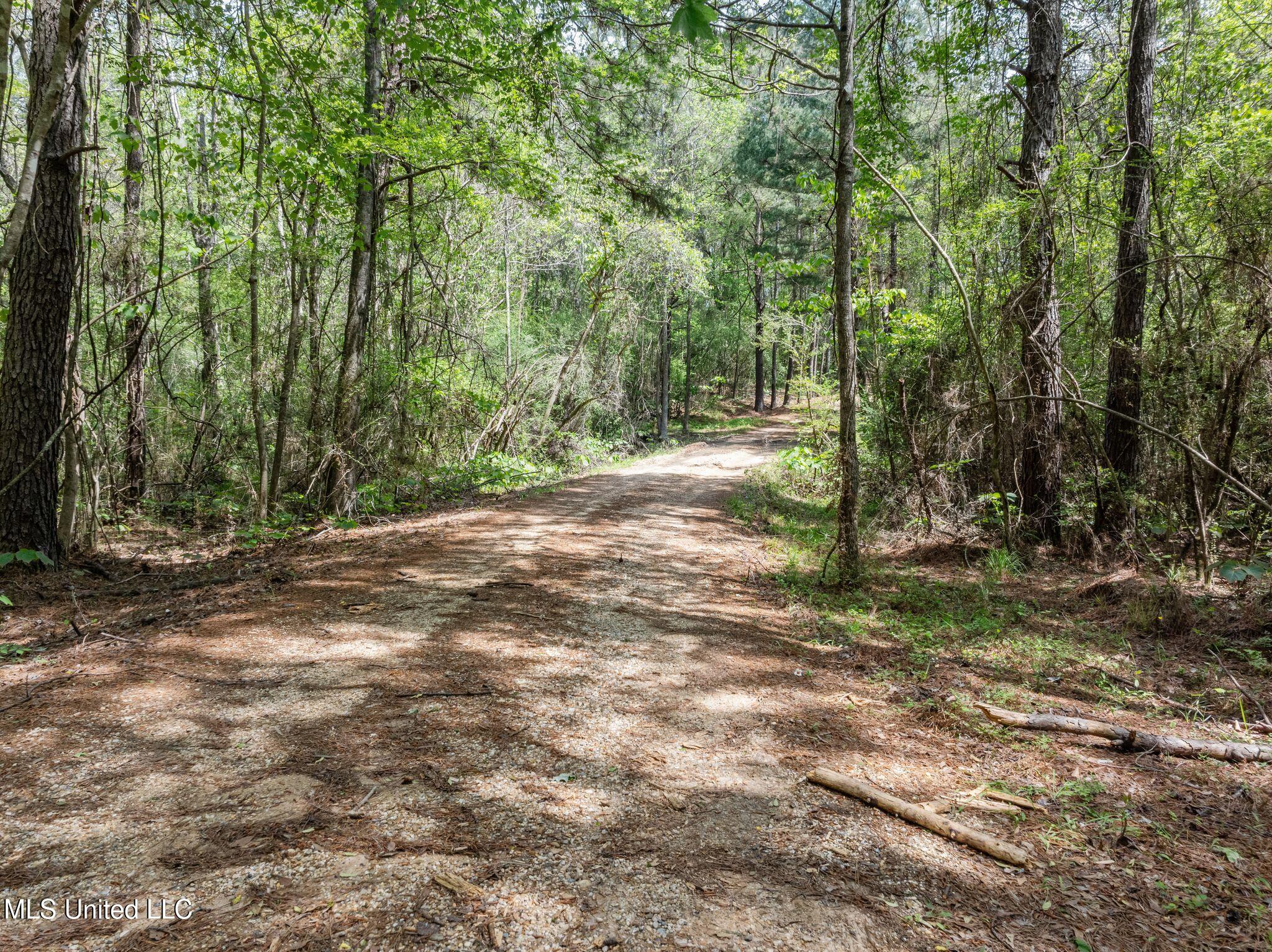 176 Burge And Reyer Road Poplarville, MS 39470 - Photo 7 of 63 176_Burge_and_Reyer_Rd-5