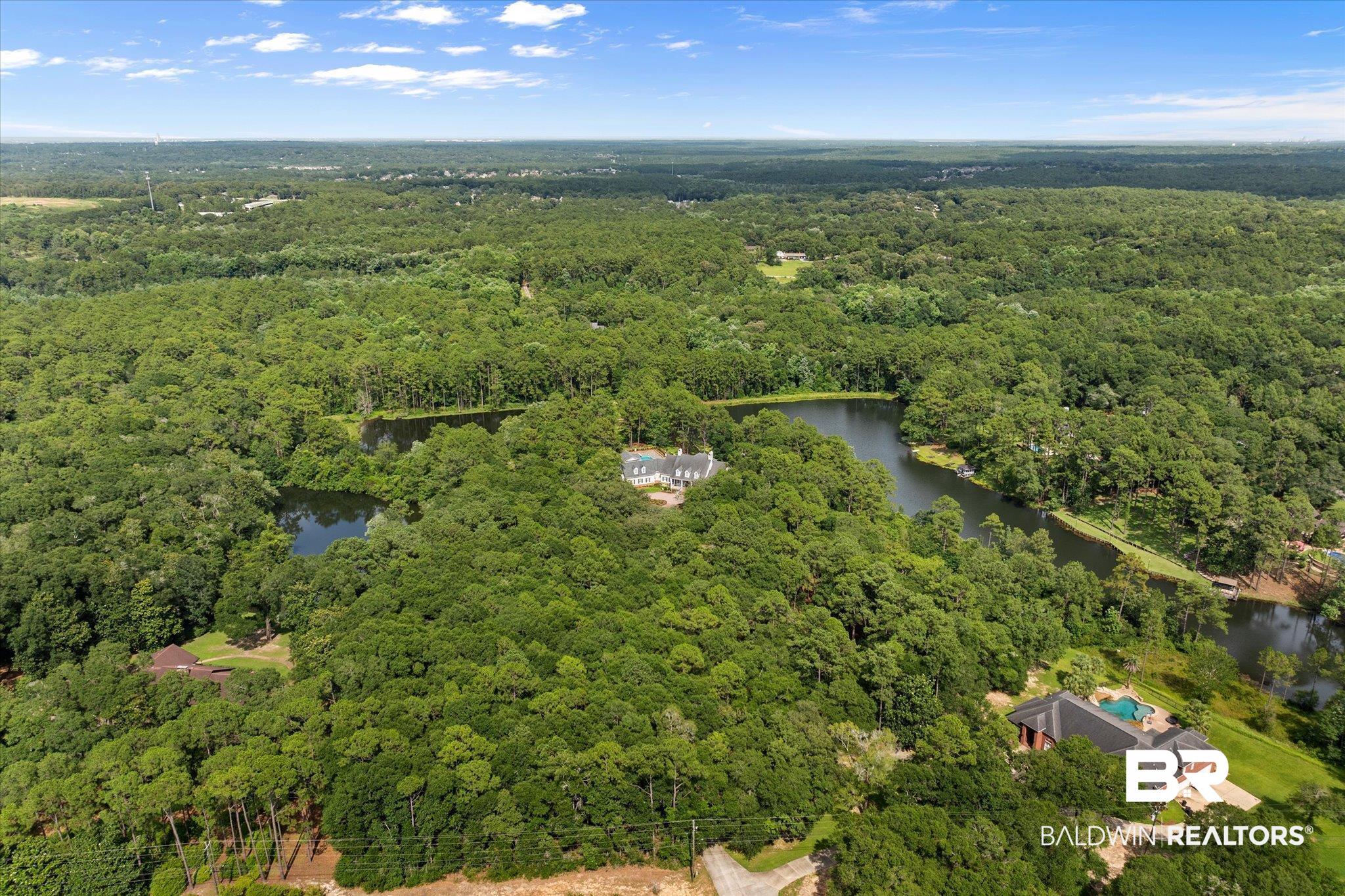 8561 Dawes Lake Road Mobile, AL 36619 - Photo 63 of 63 Drone / aerial view of a heavily wooded area and a large body of water