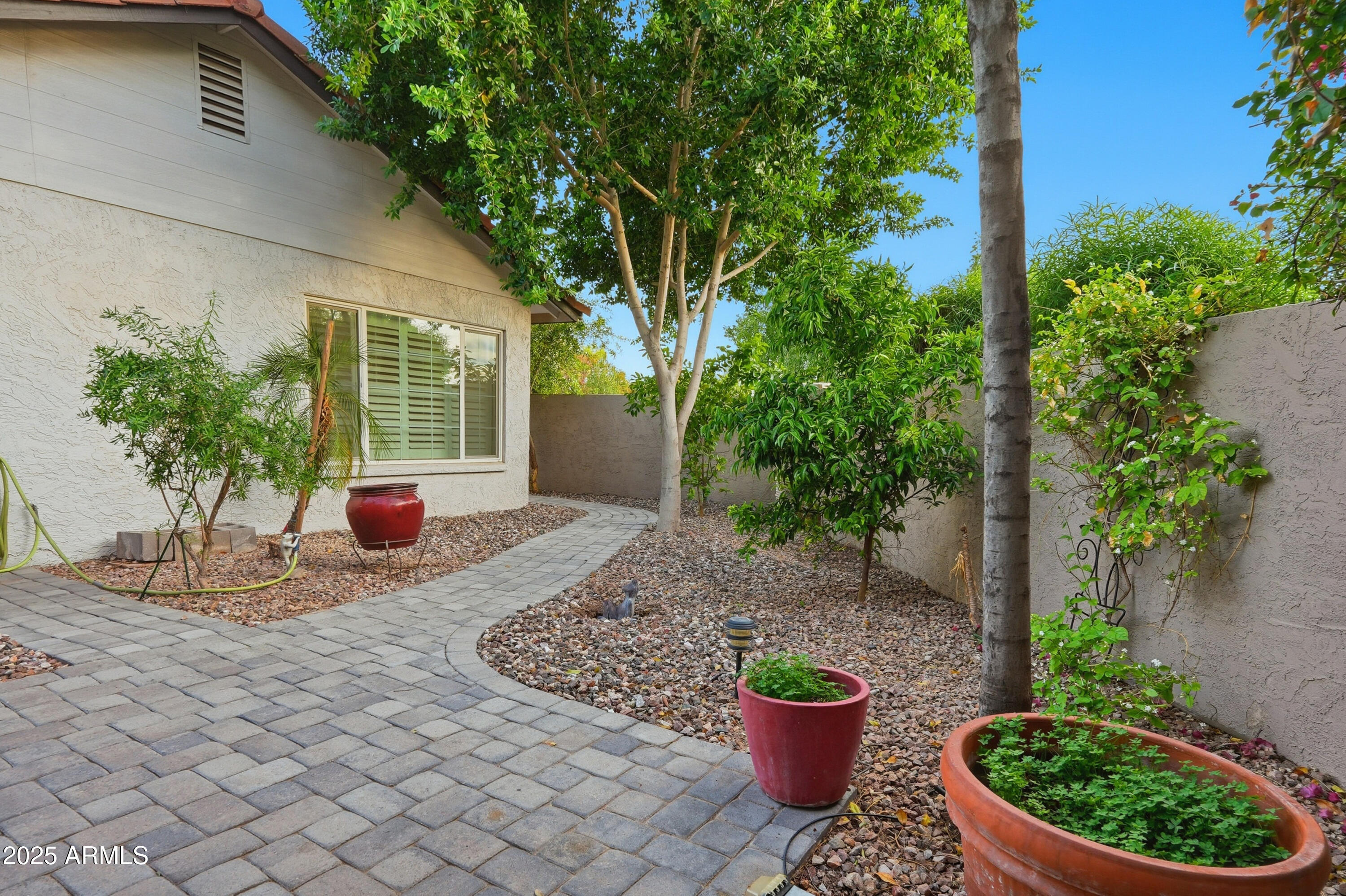 5632 South Jolly Roger Road Tempe, AZ 85283 - Photo 20 of 35 a view of a backyard with potted plants and plants