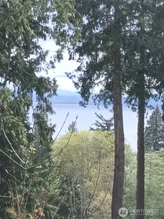 a view of a yard with a tree
