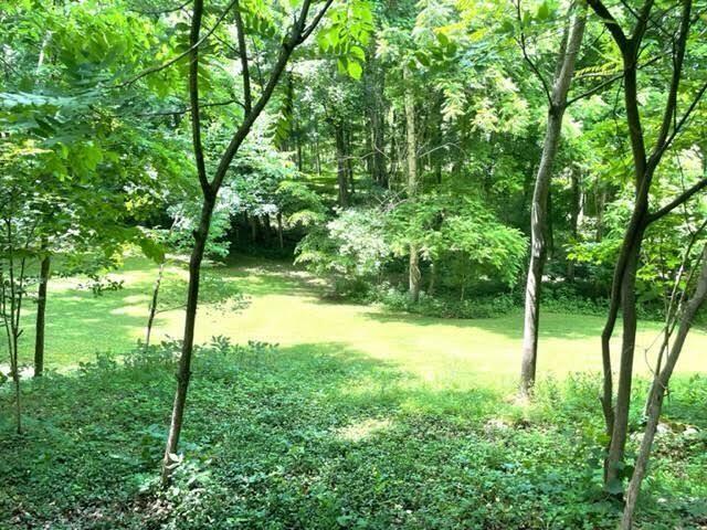 4907 Rush Branch Road Somerset, KY 42501 - Photo 22 of 46 20220608204154094504000000-o