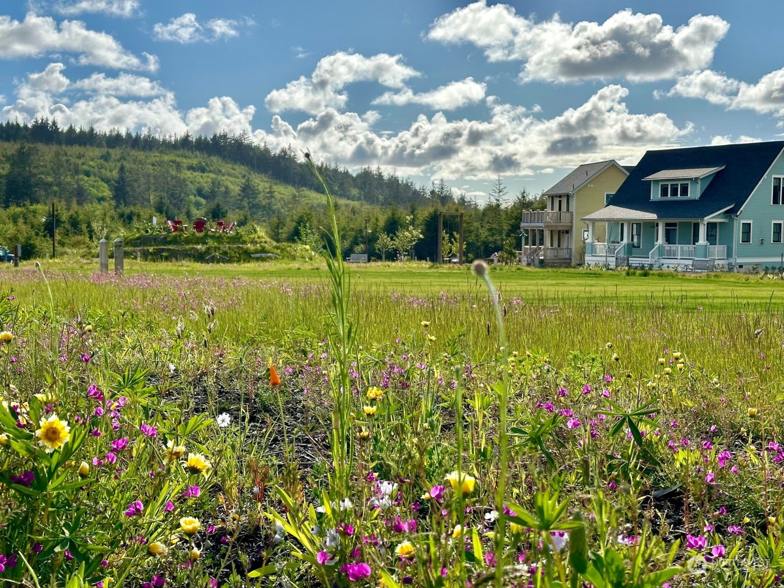40 Bungalow Loop Pacific Beach, WA 98571 - Photo 14 of 16 a view of a large garden