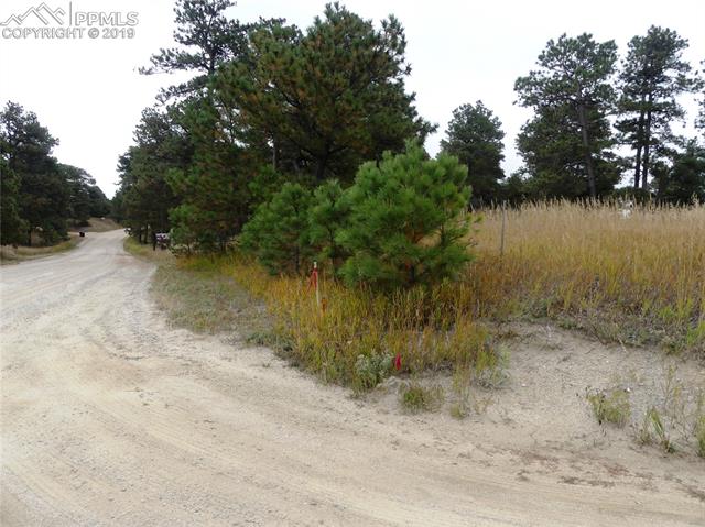 18115 Cumbres Road Peyton, CO 80831 - Photo 3 of 16 Gallery Image 3