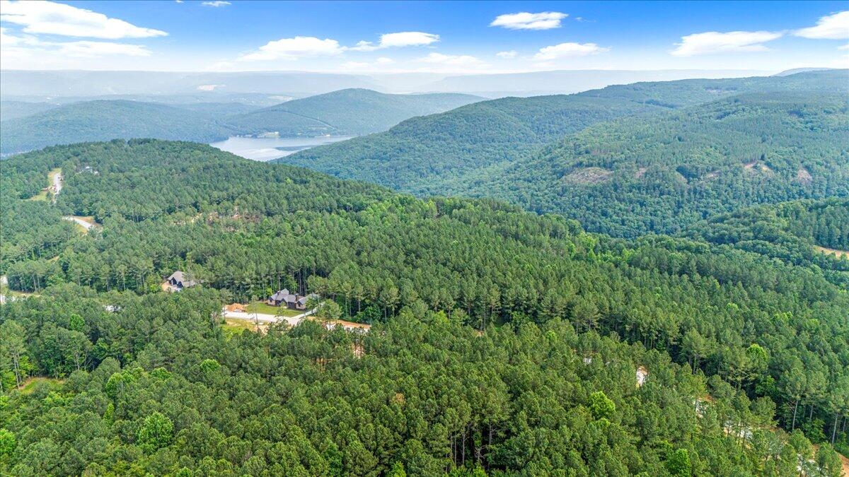 3715 Split Rail Way, Unit 1123 Guild, TN 37340 - Photo 11 of 41 10-DJI_20250611094851_0051_D