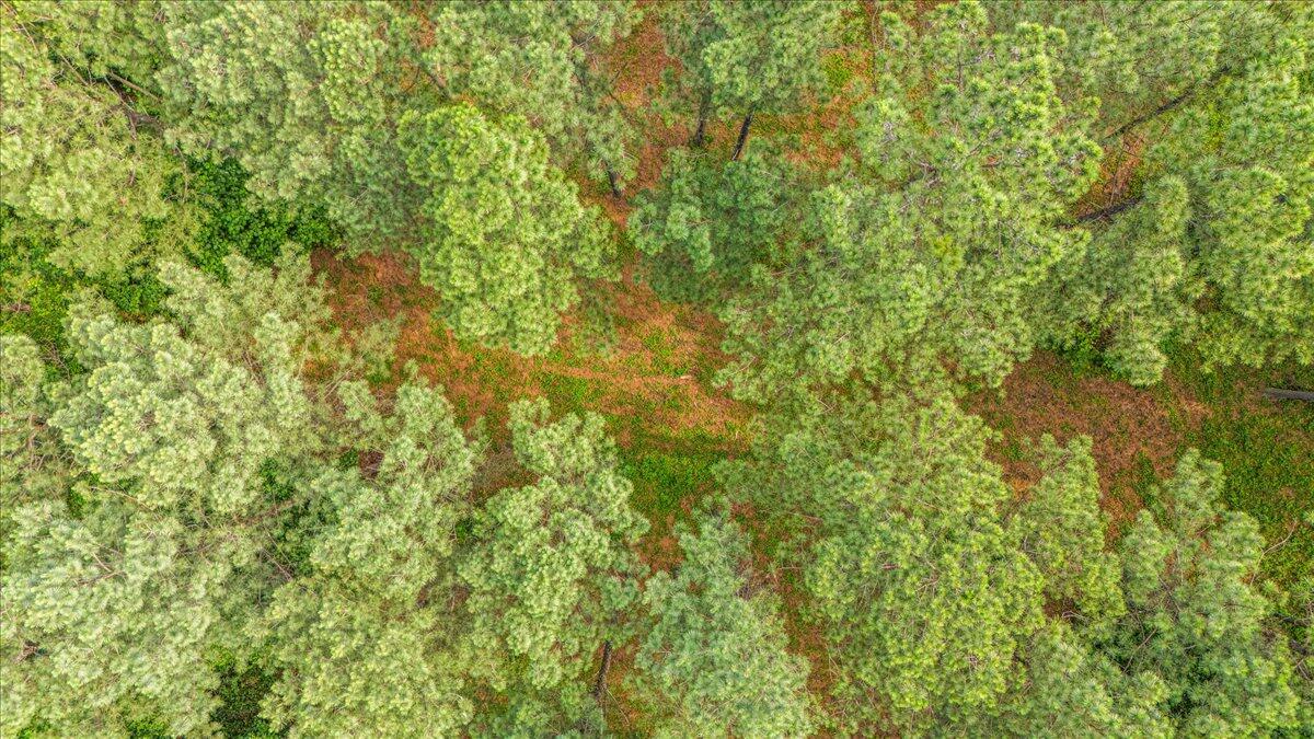 3715 Split Rail Way, Unit 1123 Guild, TN 37340 - Photo 14 of 41 11-DJI_20250611094947_0060_D