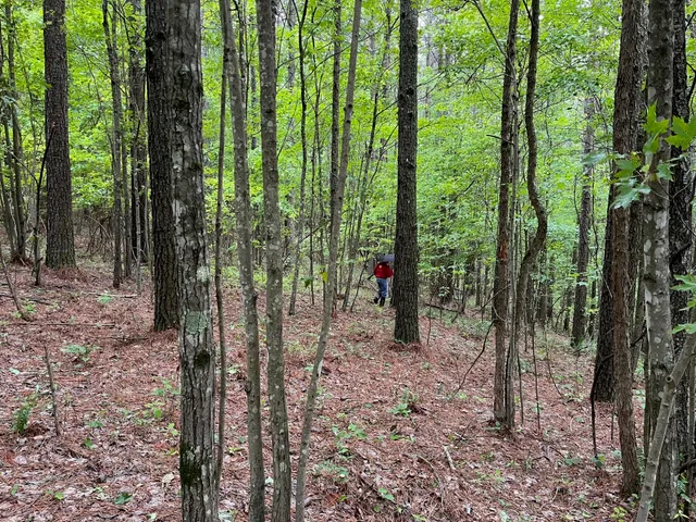 $260,000 | 3715 Split Rail Way, Unit 1123, Guild, TN 37340