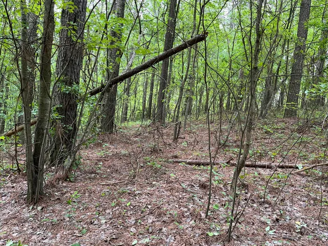 $260,000 | 3715 Split Rail Way, Unit 1123, Guild, TN 37340