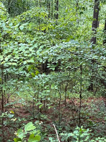 $260,000 | 3715 Split Rail Way, Unit 1123, Guild, TN 37340