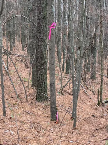 $260,000 | 3715 Split Rail Way, Unit 1123, Guild, TN 37340