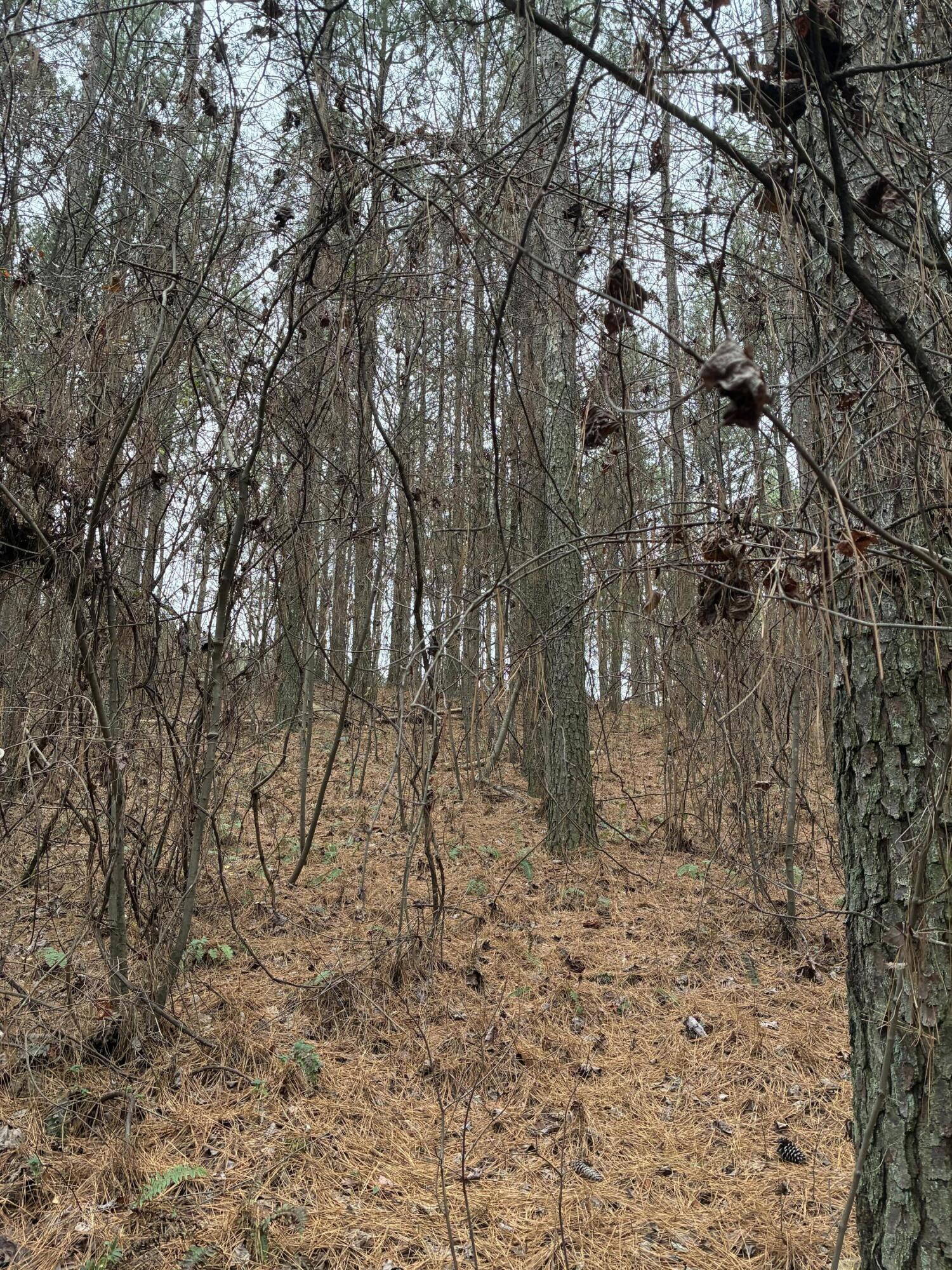 3715 Split Rail Way, Unit 1123 Guild, TN 37340 - Photo 35 of 41 IMG_3920