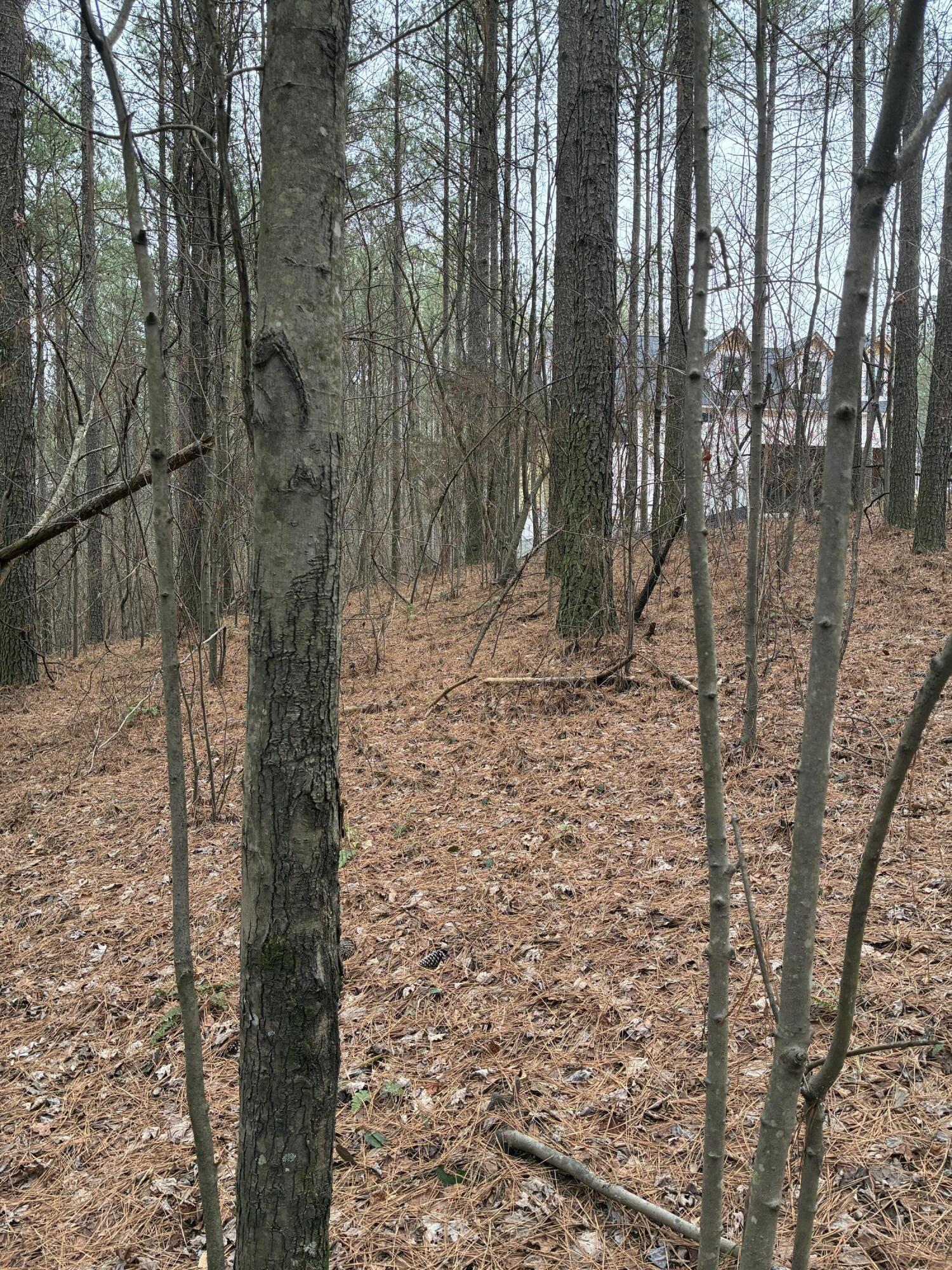 3715 Split Rail Way, Unit 1123 Guild, TN 37340 - Photo 36 of 41 IMG_3921