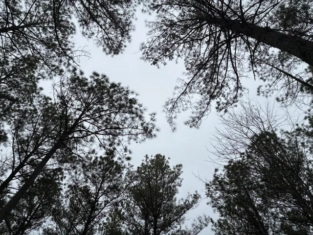 $260,000 | 3715 Split Rail Way, Unit 1123, Guild, TN 37340