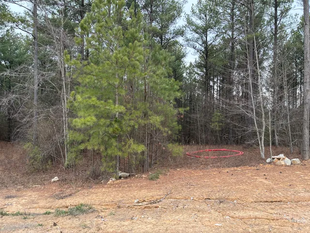 $260,000 | 3715 Split Rail Way, Unit 1123, Guild, TN 37340