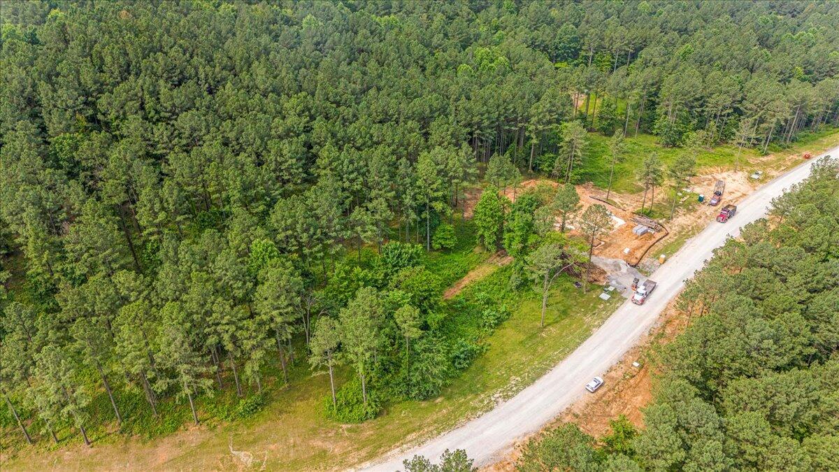 3715 Split Rail Way, Unit 1123 Guild, TN 37340 - Photo 6 of 41 05-DJI_20250611094330_0037_D