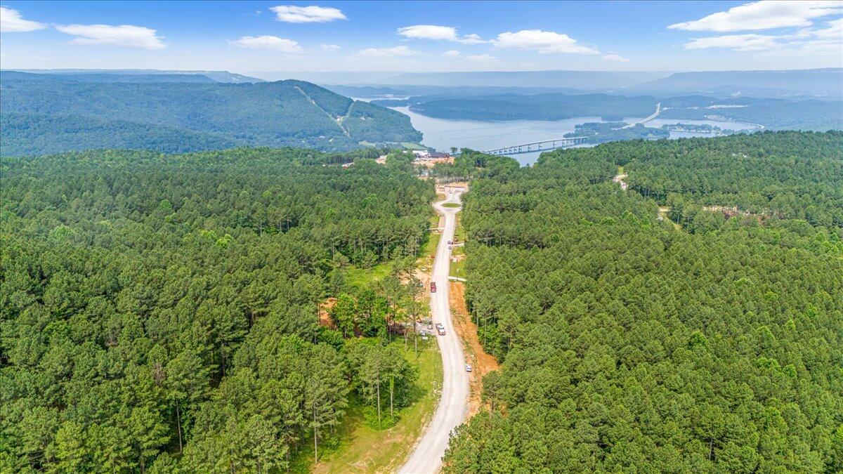 3715 Split Rail Way, Unit 1123 Guild, TN 37340 - Photo 8 of 41 07-DJI_20250611094358_0043_D