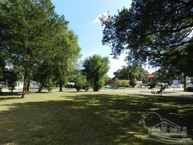 a view of a park with large trees