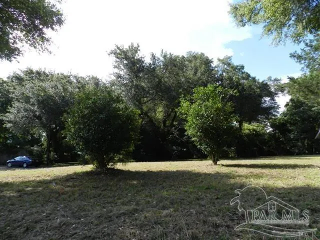 a view of a tree in a yard