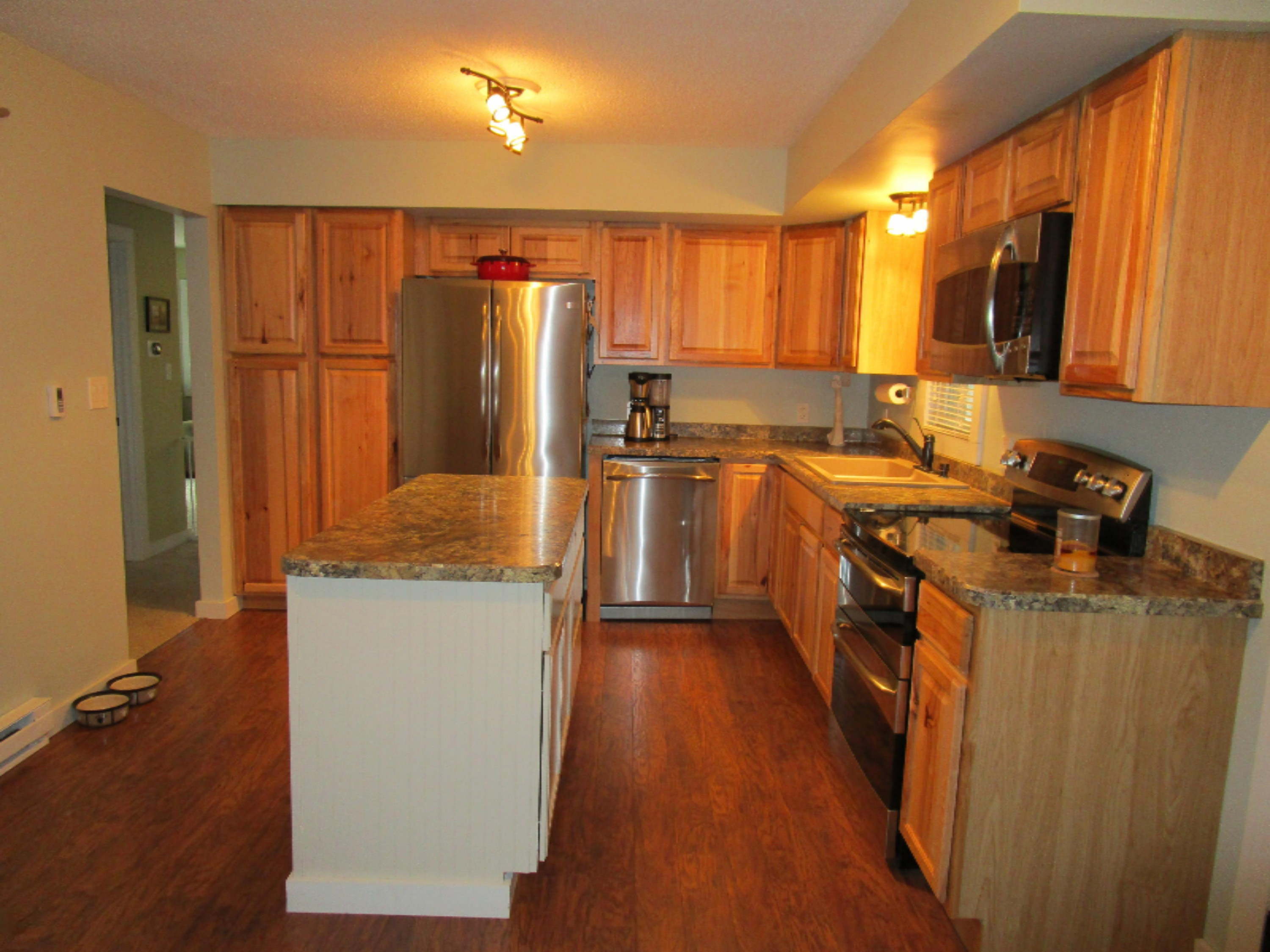 867 Pleasant Ridge Quincy, MI 49082 - Photo 2 of 30 IMG_0071