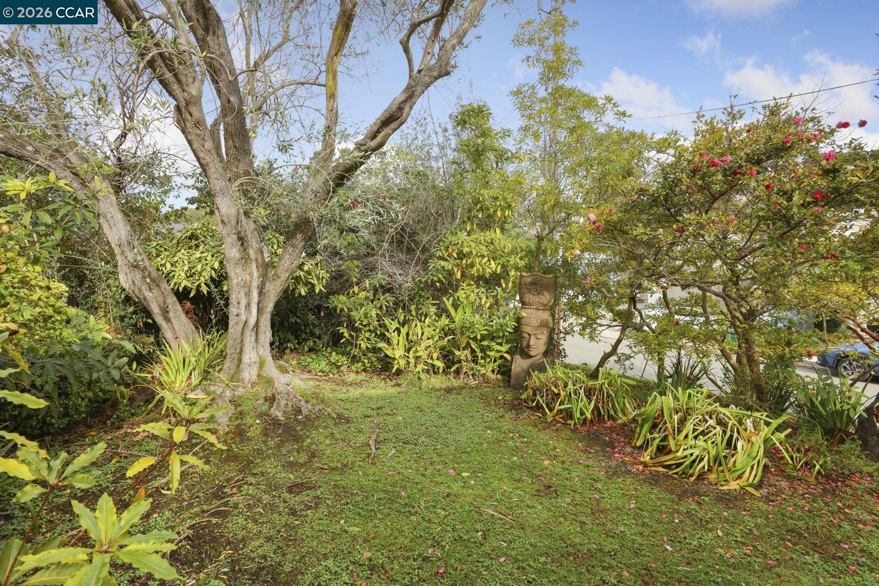 204 El Camino Real Berkeley, CA 94705 - Photo 8 of 55