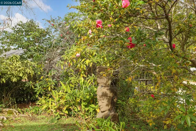 $2,795,000 | 204 El Camino Real, Berkeley, CA 94705