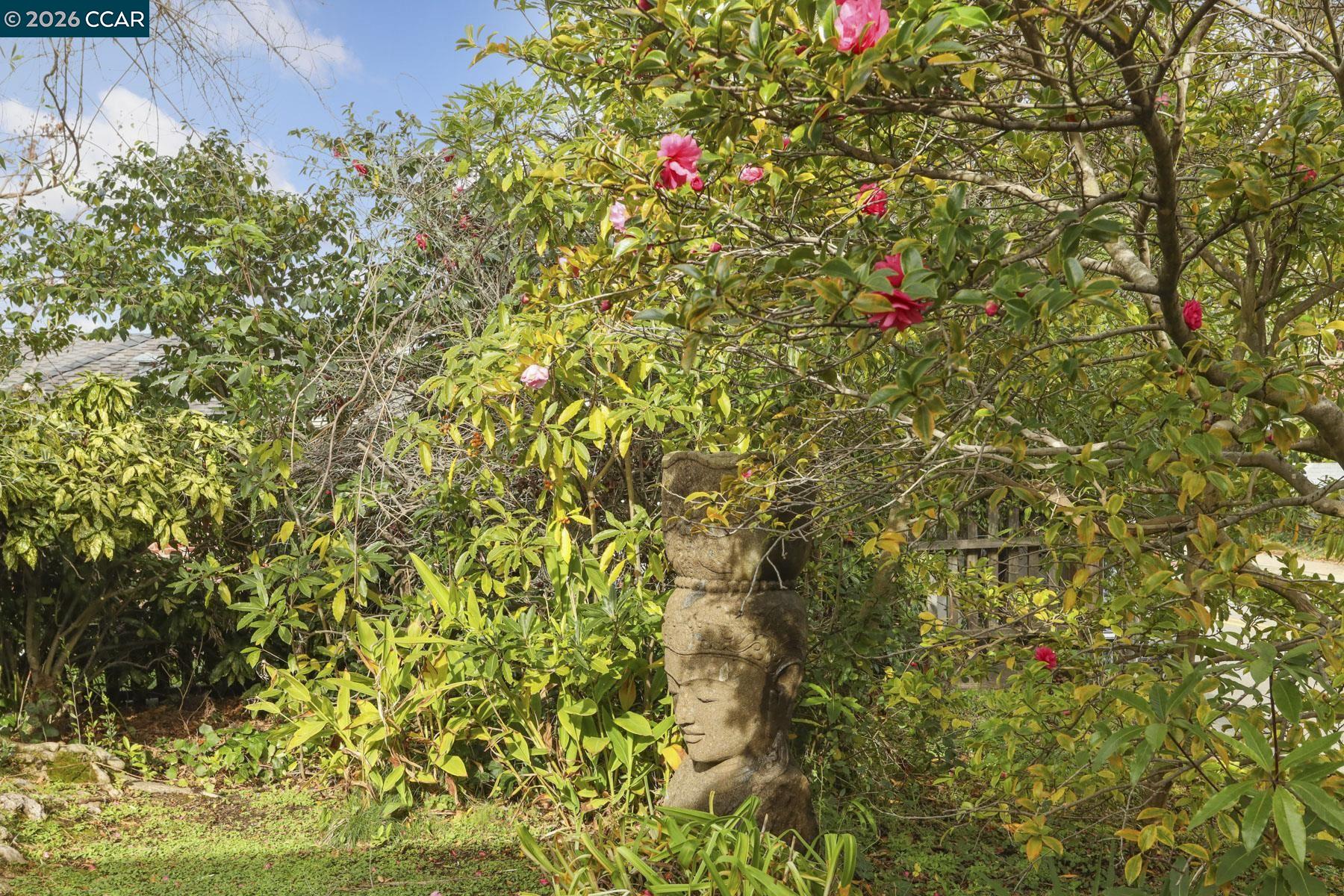 204 El Camino Real Berkeley, CA 94705 - Photo 9 of 55