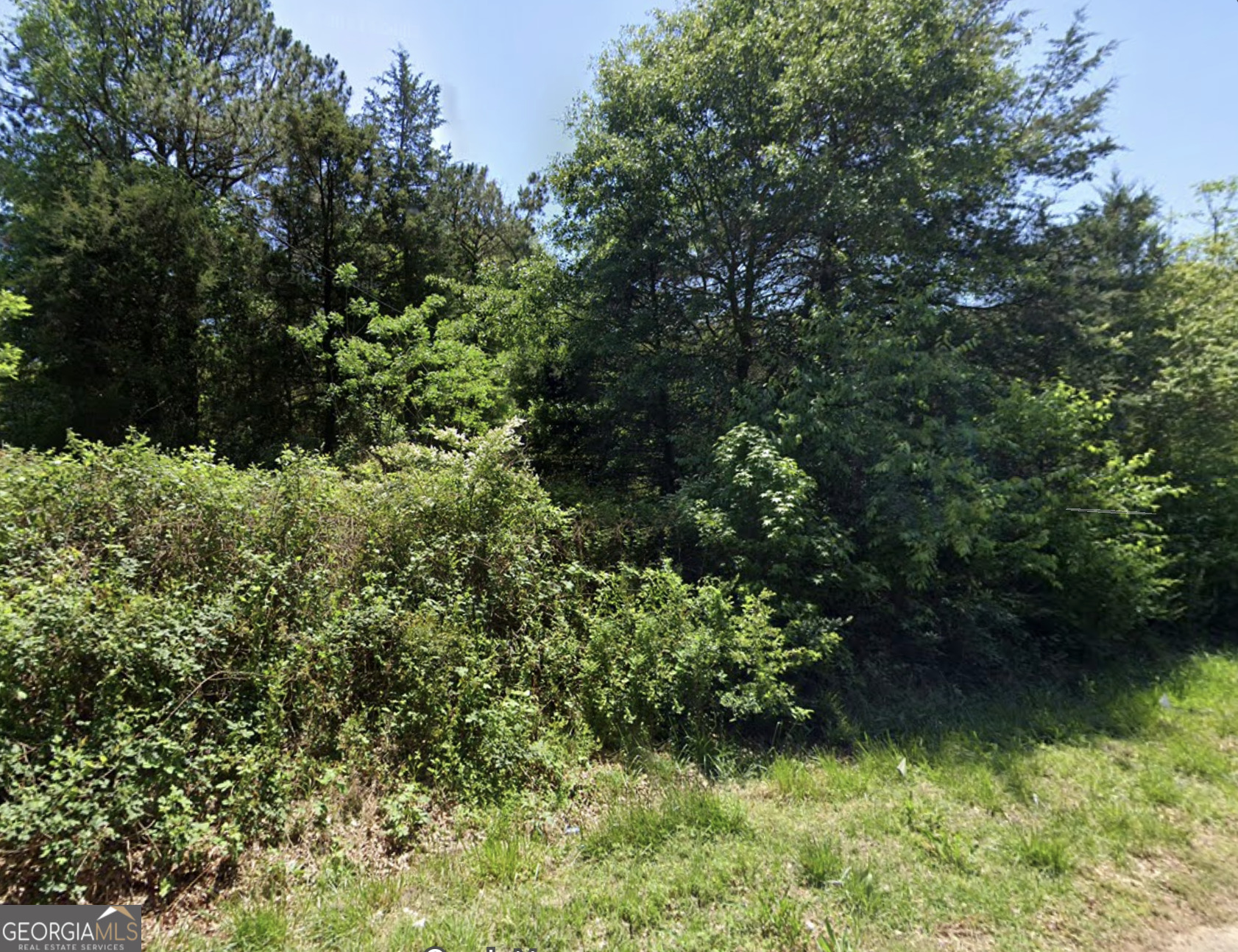 825 Robert Reid Road Royston, GA 30662 - Photo 3 of 4 a view of a garden