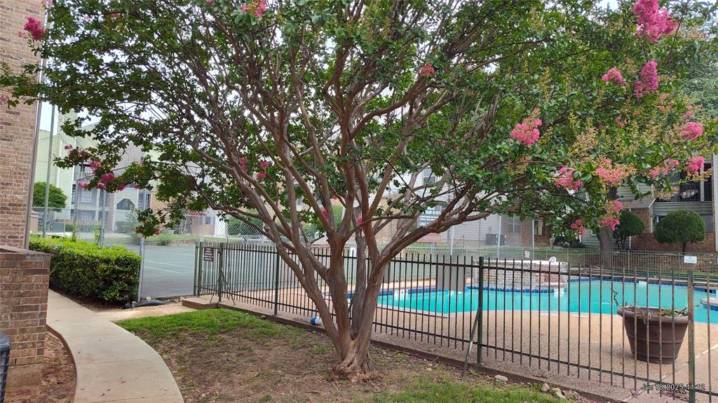 6108 Abrams Road, Unit 522 Dallas, TX 75231 - Photo 12 of 14 View of community pool
