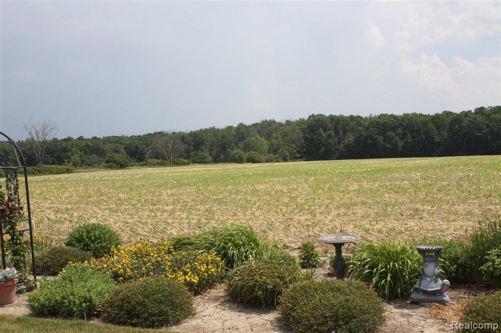 14667 Sharrard Road Allenton, MI 48002 - Photo 12 of 25 Field-S.JPG