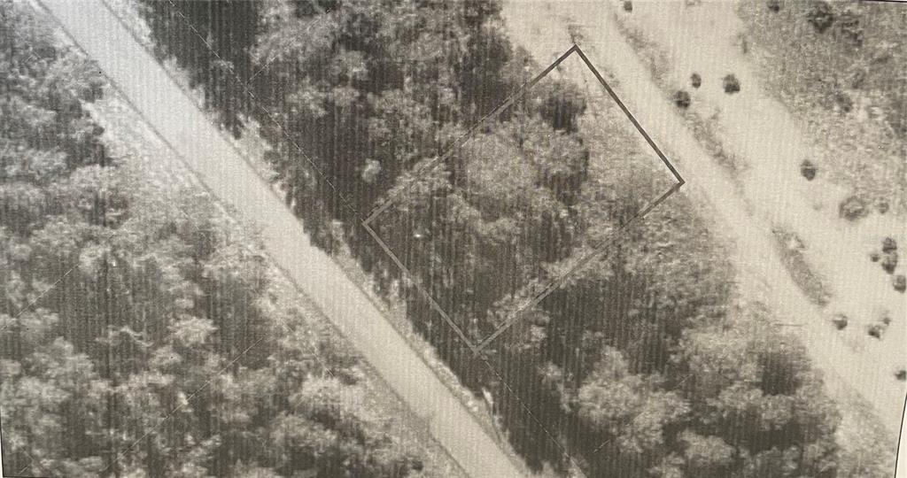 Southwest 54th Ct Road Ocala, FL 34473 - Photo 1 of 1 Gallery Image 1