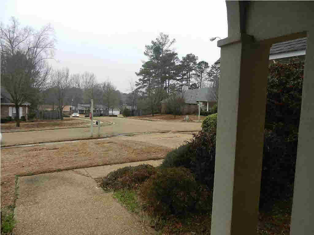 404 Pinewood Lane Ridgeland, MS 39157 - Photo 4 of 31 Photo 4