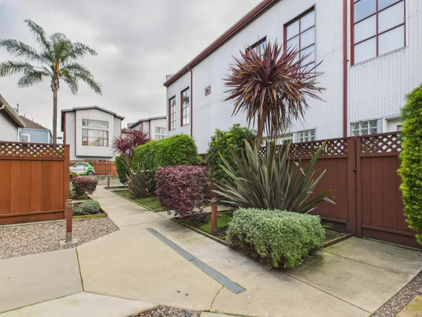 a view of a palm trees front of house with potted plants
