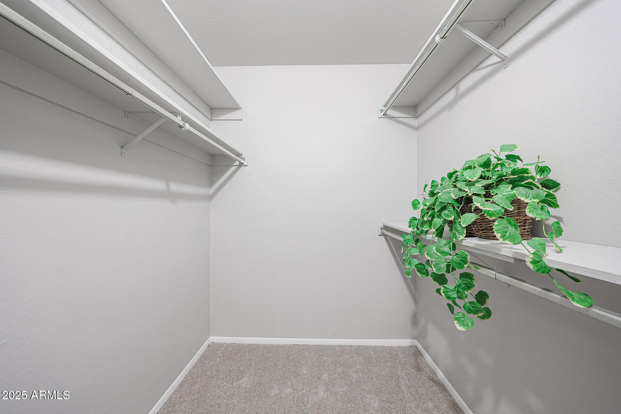 14022 North Palm Ridge Drive Sun City, AZ 85351 - Photo 18 of 21 a view of small space with plants