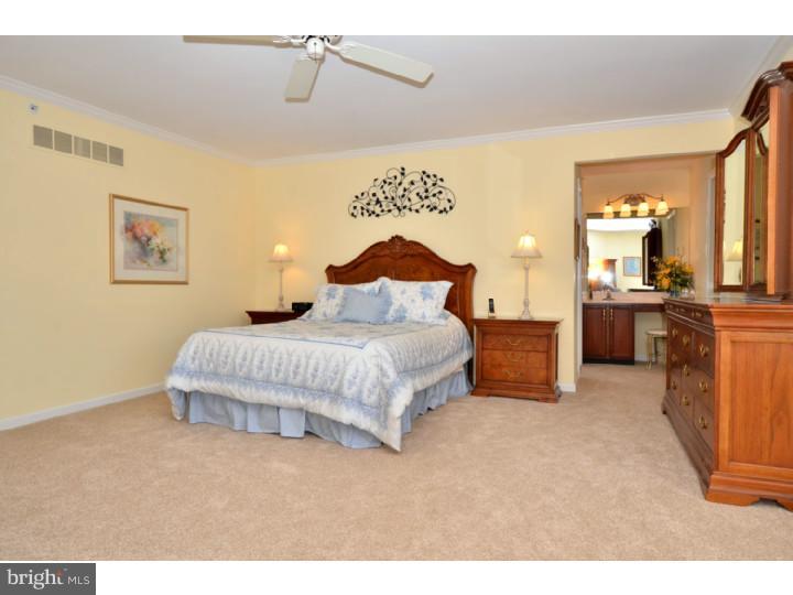 291 Watch Hill Road Exton, PA 19341 - Photo 19 of 25 Master Bedroom