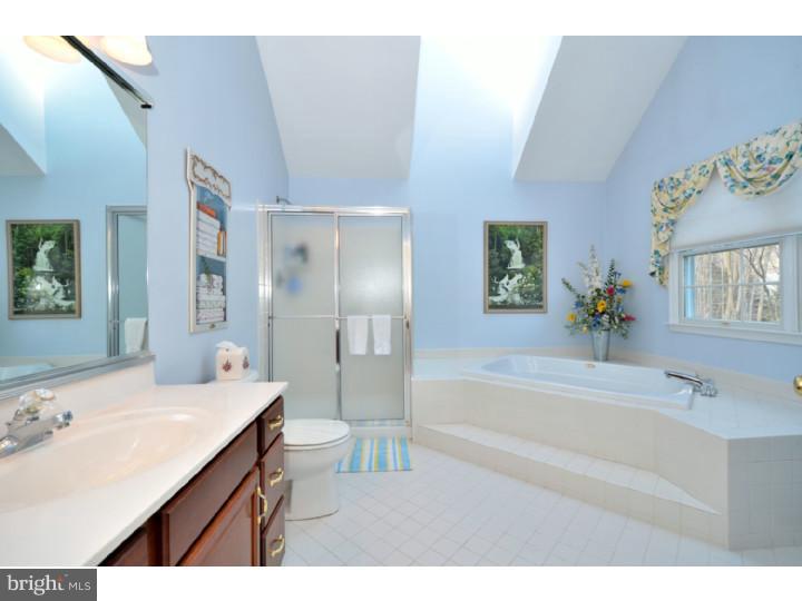 291 Watch Hill Road Exton, PA 19341 - Photo 20 of 25 Master Bathroom
