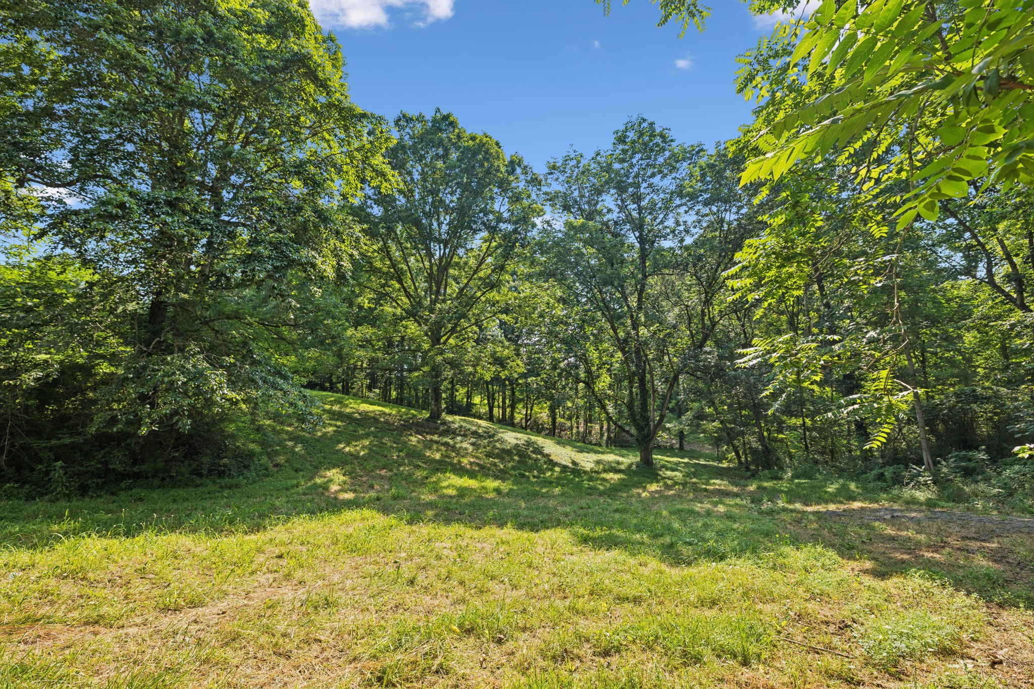 0 Daugherty-Capley Road Bon Aqua, TN 37025 - Photo 15 of 49 Gallery Image 15