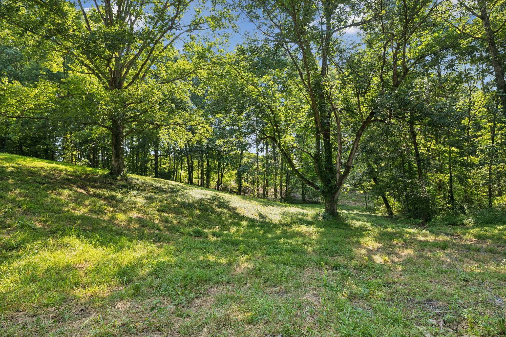 0 Daugherty-Capley Road Bon Aqua, TN 37025 - Photo 16 of 49 Gallery Image 16