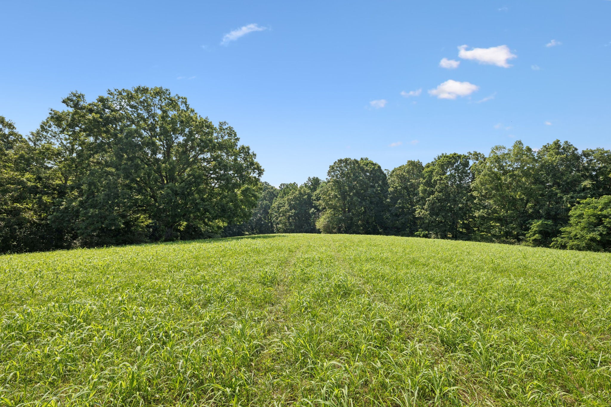 0 Daugherty-Capley Road Bon Aqua, TN 37025 - Photo 10 of 49 Gallery Image 10
