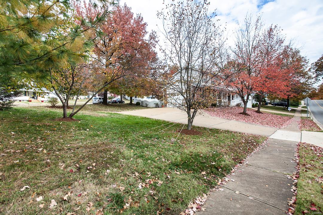 511 East Jackson Road St. Louis, MO 63119 - Photo 39 of 42 Gallery Image 39
