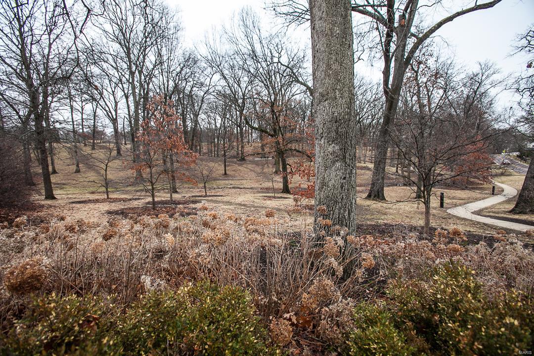 511 East Jackson Road St. Louis, MO 63119 - Photo 40 of 42 Gallery Image 40