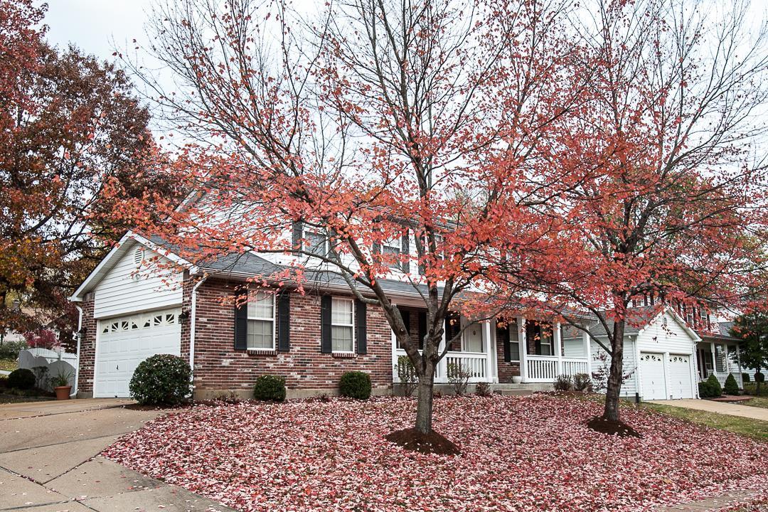 511 East Jackson Road St. Louis, MO 63119 - Photo 41 of 42 Gallery Image 41