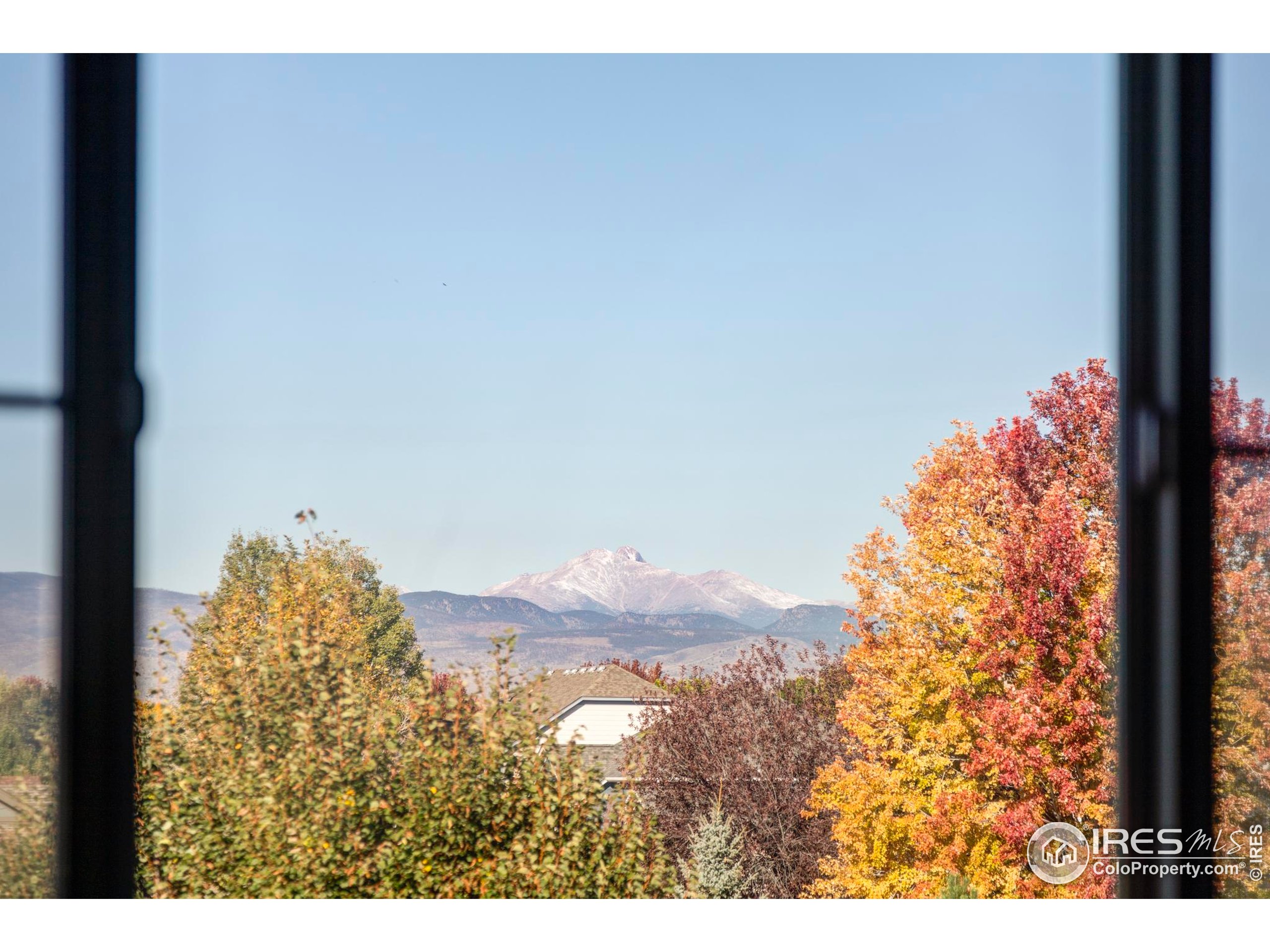 4240 Riley Drive Longmont, CO 80503 - Photo 20 of 25 a view of a yard